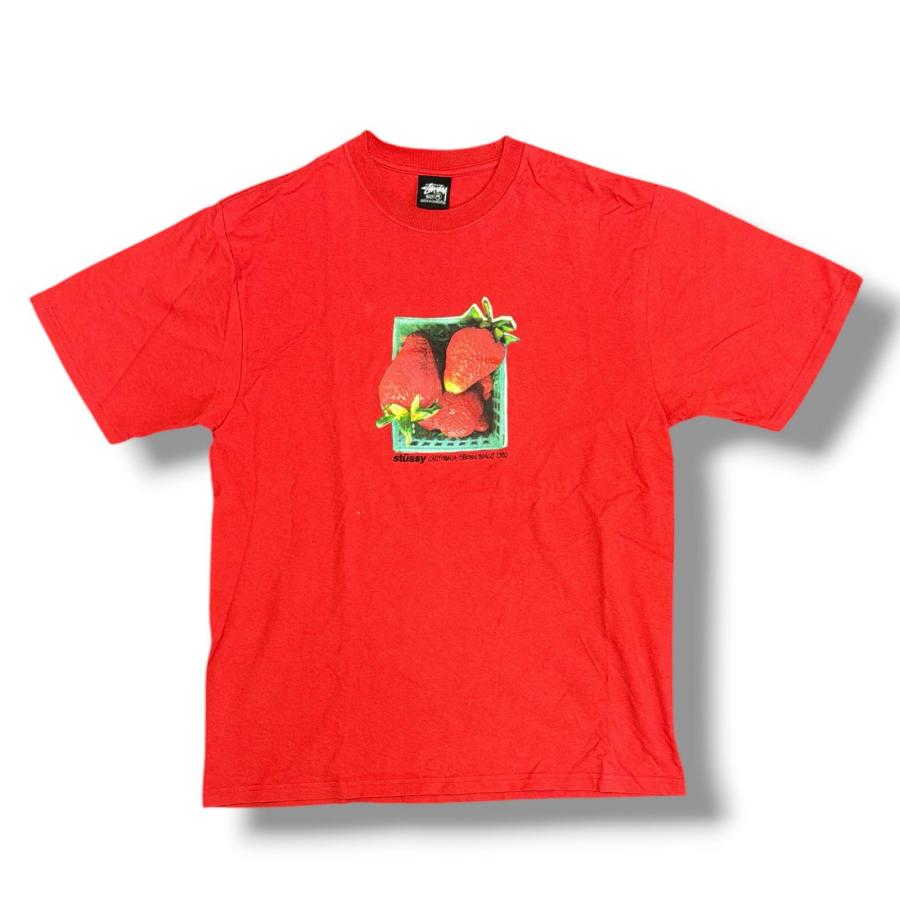 25ss STUSSY BERRIES TEE ストロベリー　 tシャツ L STUSSY（ステューシー） 25SS BERRIES TEE ストロベリーTシャツ 半袖