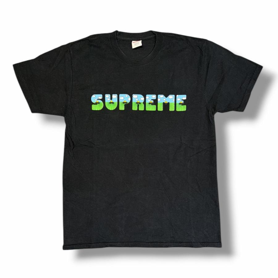 Supreme（シュプリーム） 16SS The Shit Tee ザシットTシャツ 半袖 