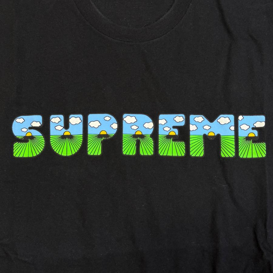 Supreme（シュプリーム） 16SS The Shit Tee ザシットTシャツ 半袖 