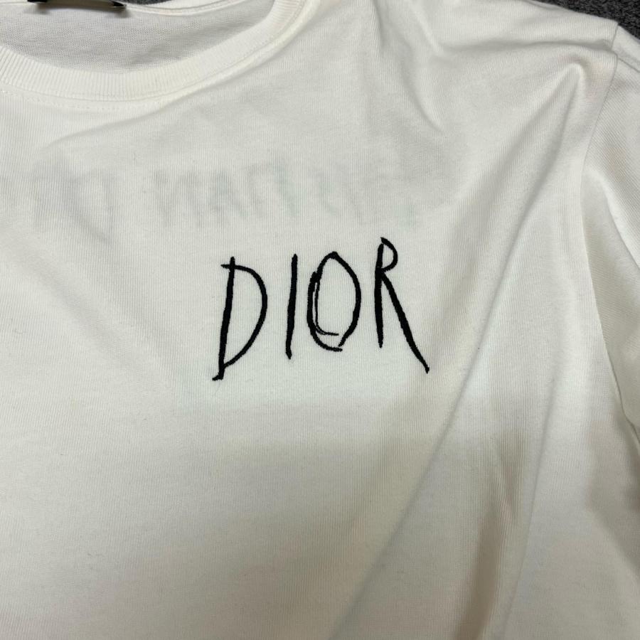 ディオール　レイモンドペティボーンTシャツ Dior × Raymond Pettibon ディオール レイモンド・ペティボン 19AW