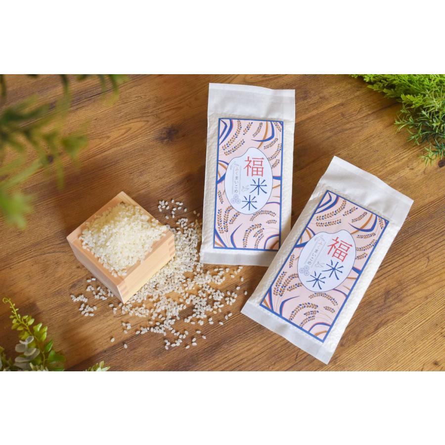 引っ越し挨拶 品物 粗品 米 北海道産ななつぼし 新築工事 引越し挨拶ギフト 退職 産休 お礼 記念品 景品 お祝い 参加賞 福米米 5個セット | ななつぼし | 01