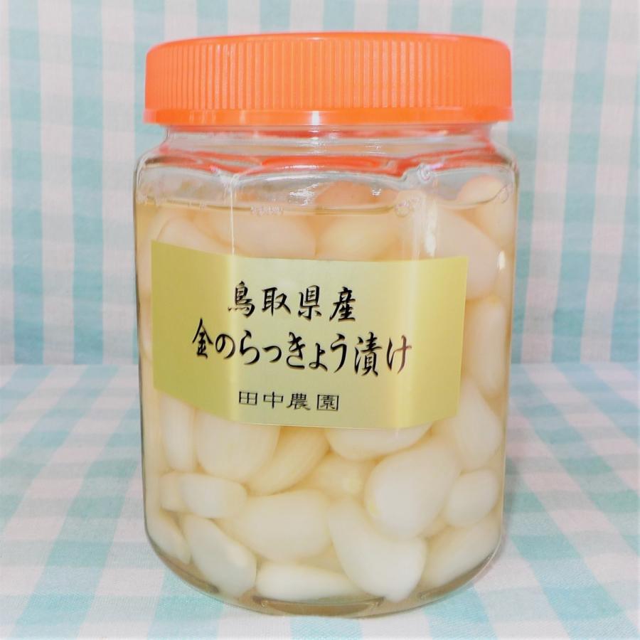 鳥取県産 金のらっきょ漬け 特大瓶 完熟らっきょうを使用 田中農園直送 今年の新物入荷は9月下旬ごろ Mottob もっとびーヤフー店 通販 Yahoo ショッピング