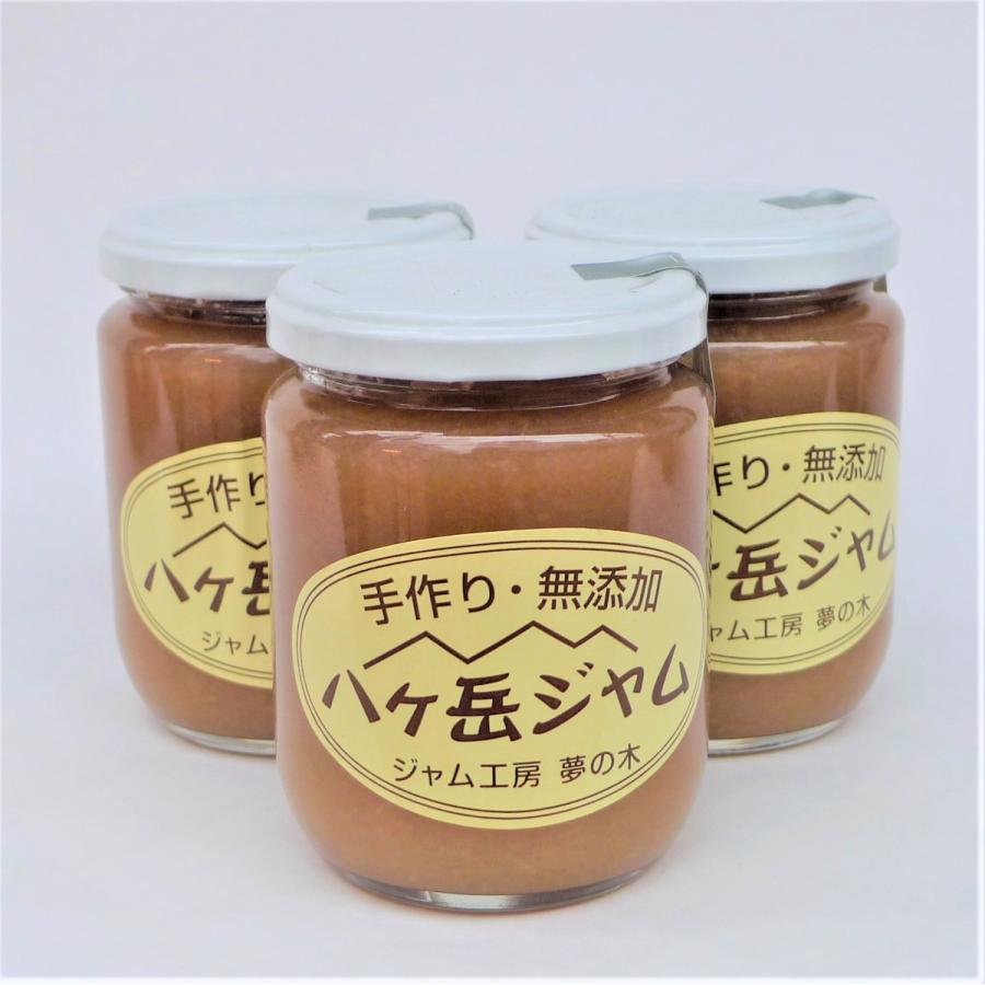 手作り 無添加 りんごジャム 250ｇ 八ヶ岳ジャム 賞味期限22 02 03 Mottob もっとびーヤフー店 通販 Yahoo ショッピング
