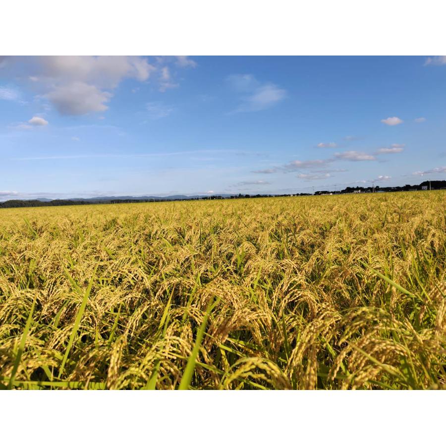 令和7年産 宮城県産 ブレンド米 〈精米 宮城米 5kg〉 (5kg×1袋