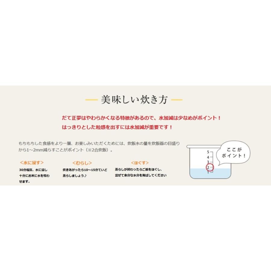 宮城県産 〈令和7年産 精米 だて正夢 10kg〉 お米 白米 (5kg×2袋) 送料