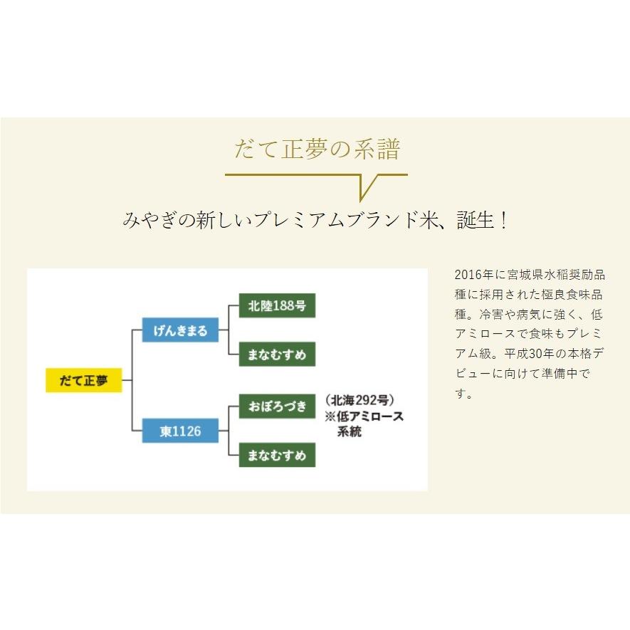 令和5年産　米10kg　  宮城県  だて正夢10ｋｇ（5ｋｇ×2） ブランド米 送料無料｜mottoginshari｜05