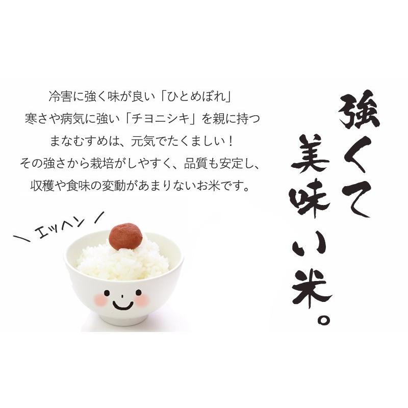 令和6年産 米30kg 宮城県産まなむすめ玄米30kg 送料無料 米 お米 令和6年産 米30kg 宮城県産まなむすめ玄米30kg 送料無料 米 お米