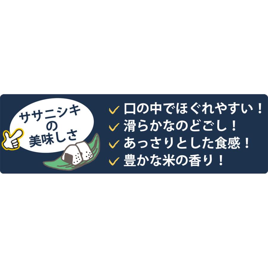 ササニシキ 令和7年産 〈玄米 30kg〉 宮城県産 お米 送料無料 安い