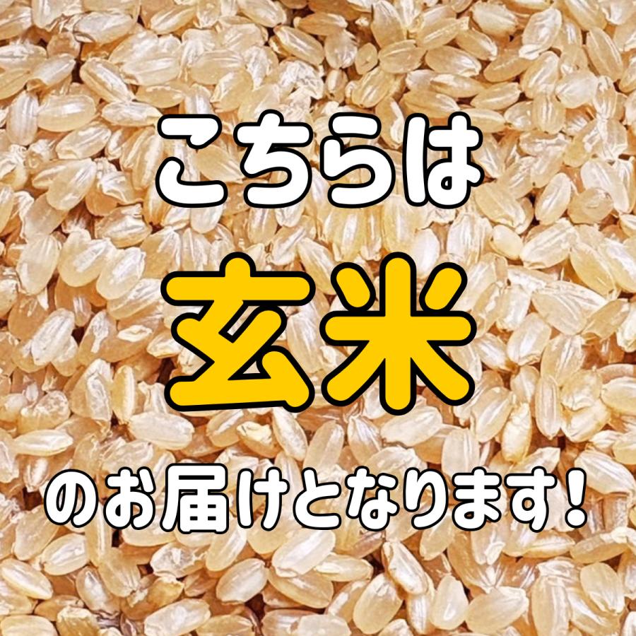 つや姫 新米 宮城県産 〈令和8年産 玄米 30kg〉 検査一等米 お米 送料