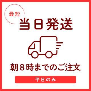 つや姫 令和7年産 〈玄米 30kg〉 宮城県産 米 お米 送料無料 安い 爆買