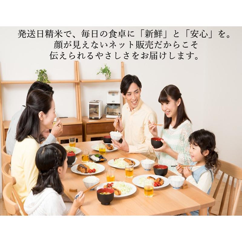 ひとめぼれ 【9/22より発送】令和7年産 〈精米 10kg〉 宮城県産