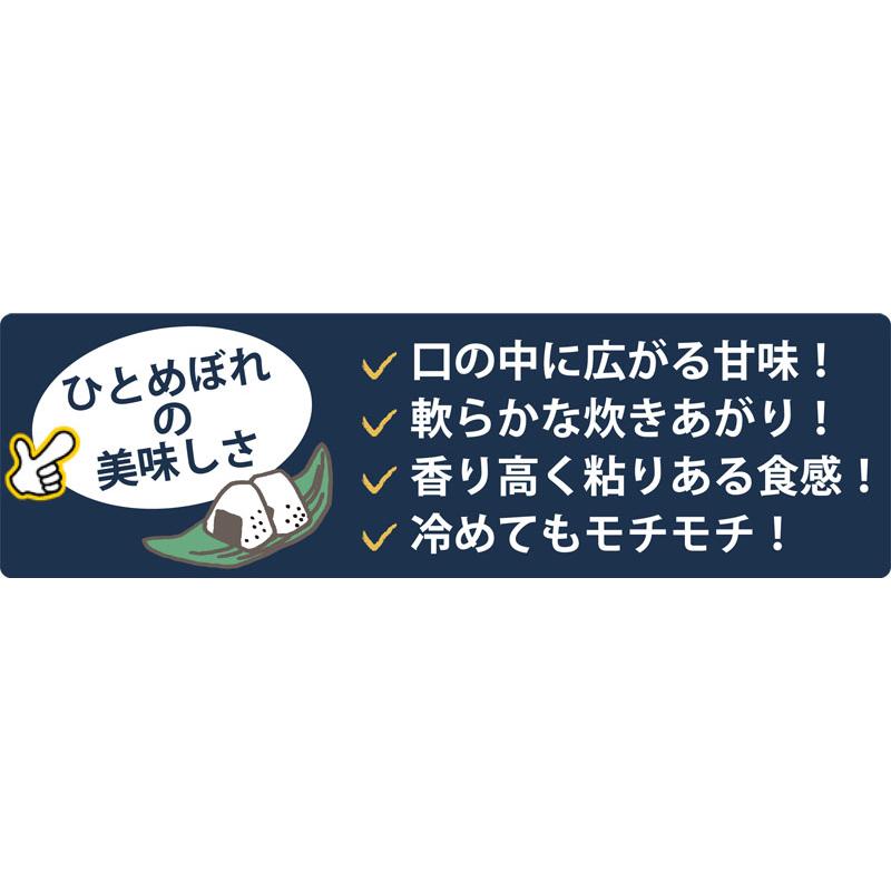 令和7年産　ひとめぼれ 15kg ひとめぼれ 令和7年産 〈精米 15kg〉 宮城県産 米 お米 白米 (5kg×3袋