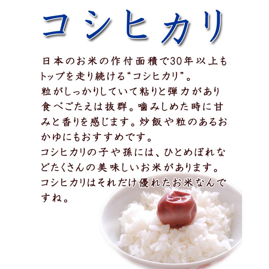 コシヒカリ 令和7年産 〈精米 10kg〉 宮城県産 米 お米 白米 送料無料