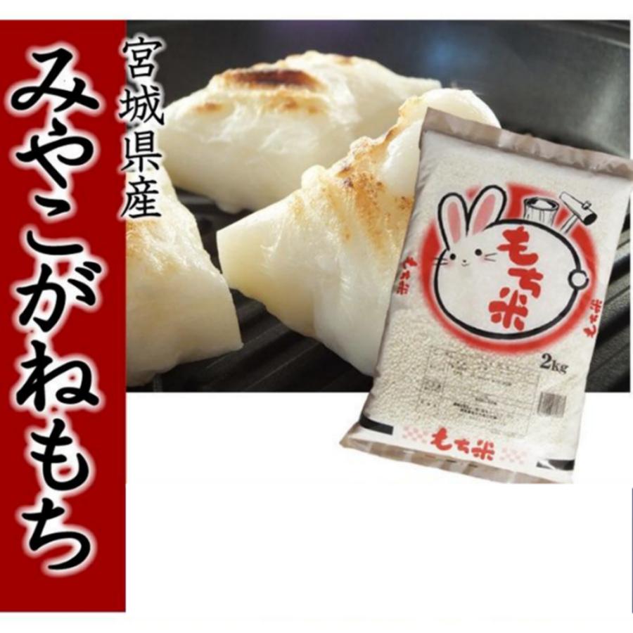 令和6年 餅米 宮城県産 みやこがね 20キロ モチ 送料込み