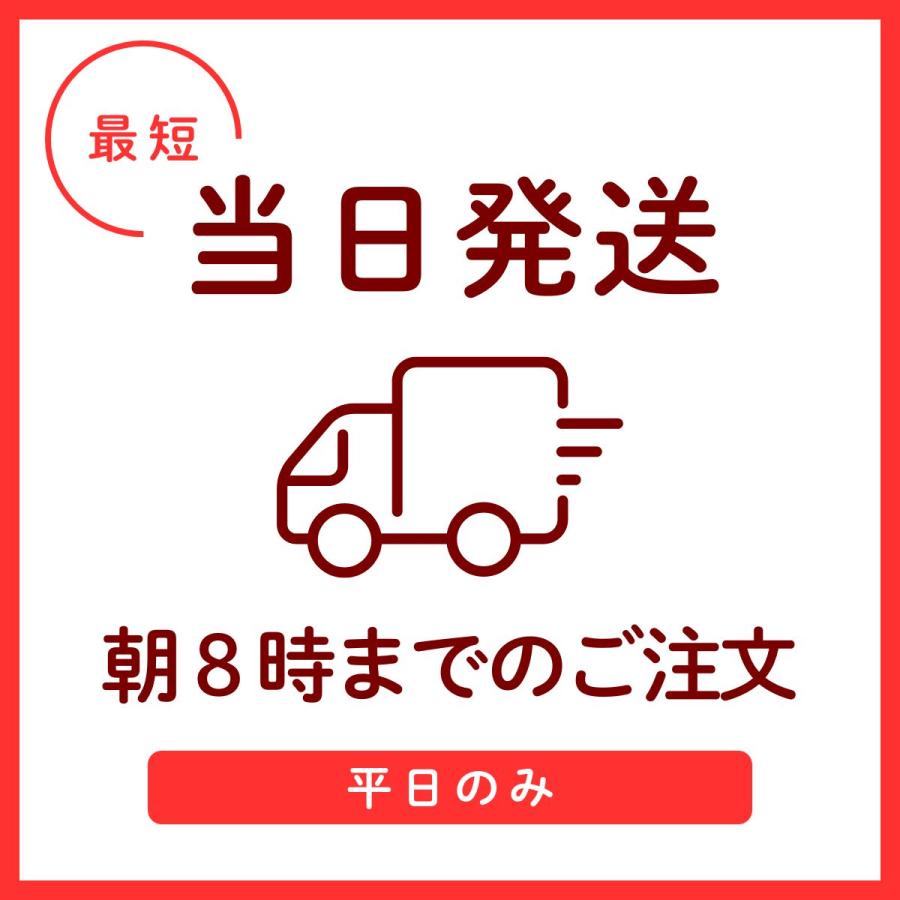 令和7年産 〈精米 ササニシキ 10kg〉 宮城県産 お米 白米 (5kg×2袋) 送料無料 安い お中元 ギフト | ササニシキ | 06