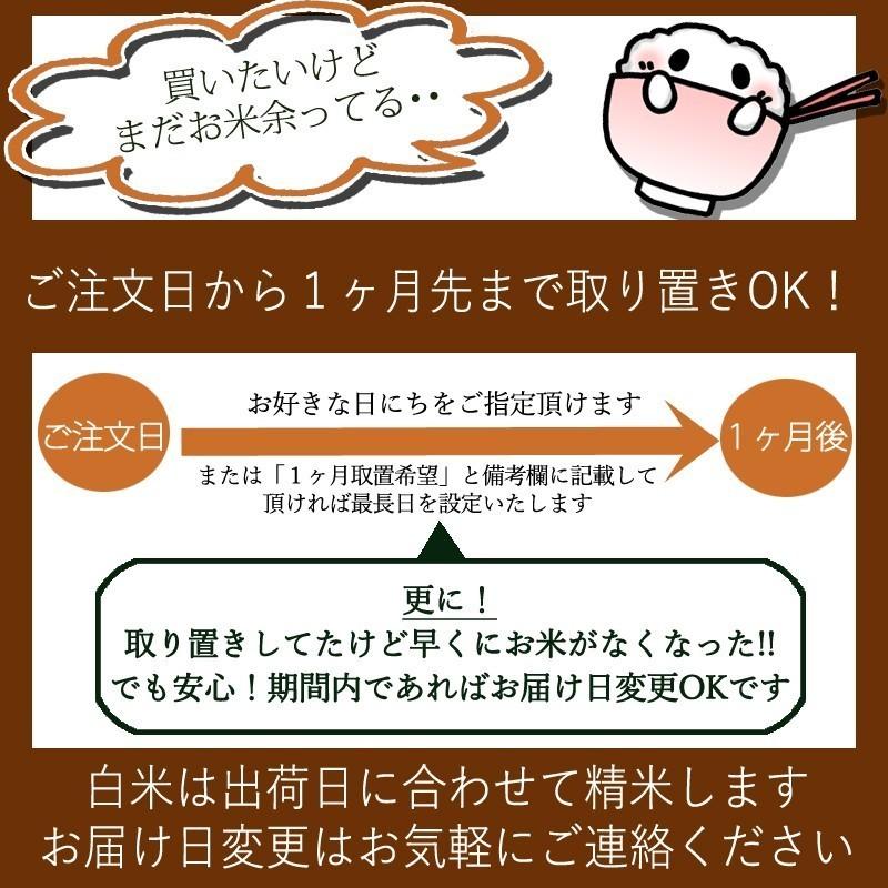 つや姫 (次回入荷4/29 12:00)令和6年産 宮城県産つや姫 10kg つや姫 (次回入荷4/29 12:00)令和6年産 宮城県産つや姫 10kg