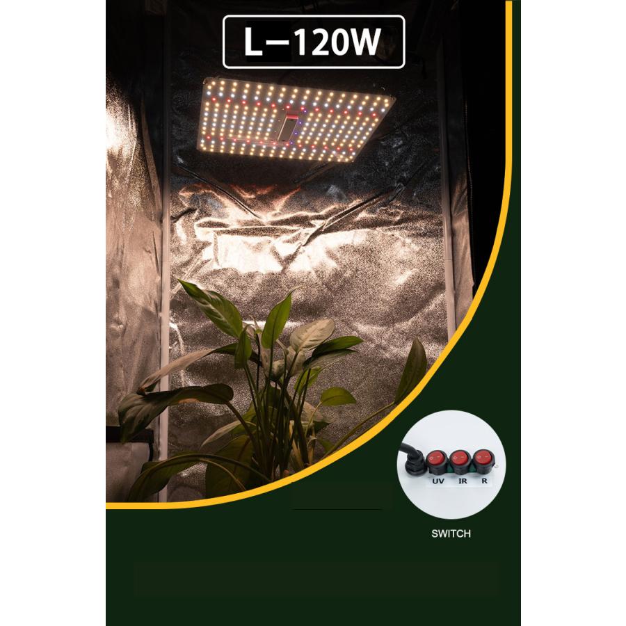 量子ボードLー120wLED植物育成照明グローライト : MOTTOGROW植物栽培 