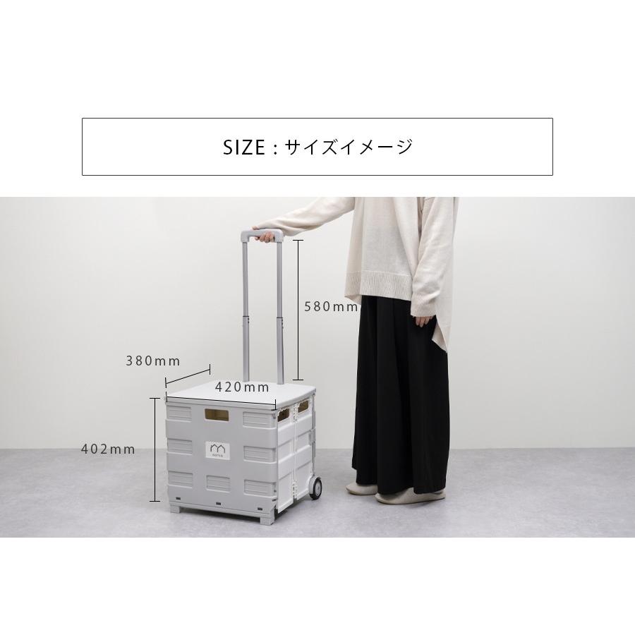 大型折りたたみキャリーカート 水色 オプション