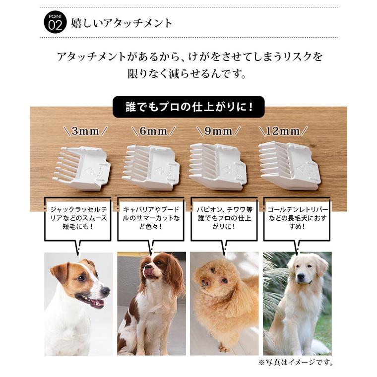 ペットバリカン Ptl E006 送料無料 Mottole コードレス プロ トリマー バリカン 犬 猫 ペット 用 いぬ ねこ トリミング トイプードル セルフ 充電式 Ptl E006 Mottole 通販 Yahoo ショッピング