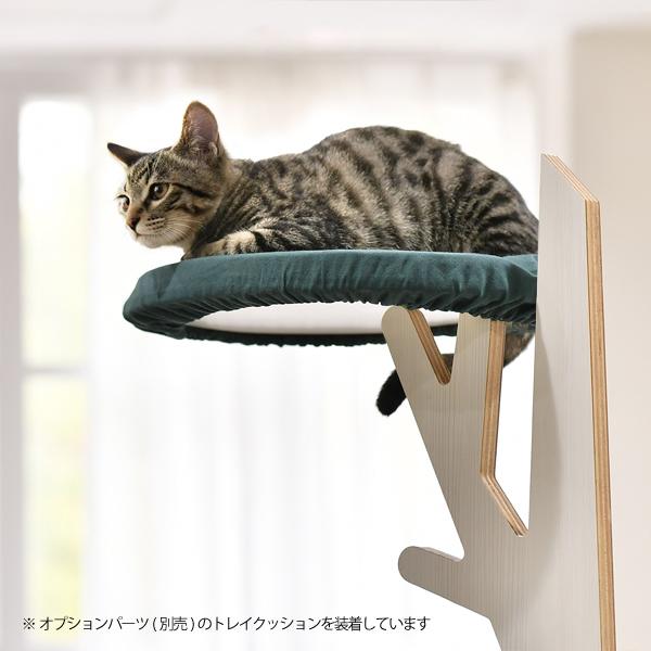 お部屋のシンボルツリー 猫のなる木 × 趣味のなる木 TOWER180
