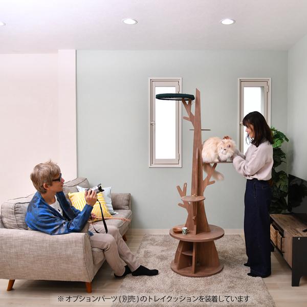 お部屋のシンボルツリー 猫のなる木 × 趣味のなる木 TOWER180 木製