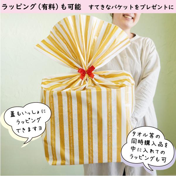 ヨシカワ 日本製 クリアな 大 ギフトラッピング仕様 マニッシュボーイ レンゲ