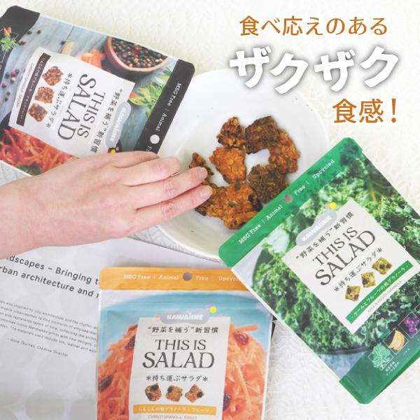 KAWAIINE THIS IS SALAD 持ち運ぶサラダ3種類クリアバッグ入りギフト