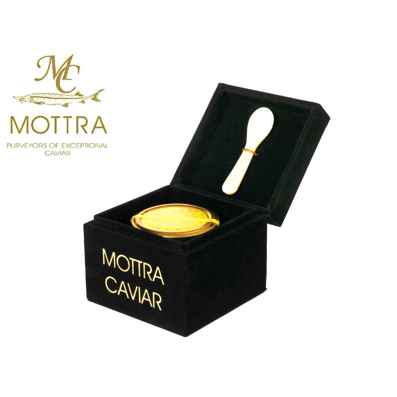 最高級フレッシュキャビア オセトラ 56g OSETRA (ギフトボックス&シェルスプーン付)