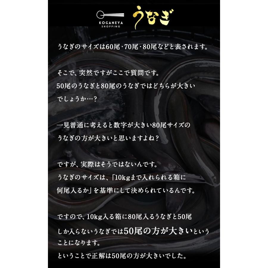 敬老の日 ギフト プレゼント 黄金屋厳選 うなぎ長蒲焼 3尾 土用丑の日 ご飯のお供 酒の肴 お取り寄せグルメ 食品 食べ物 ご飯の友 贈答 贈り物_3
