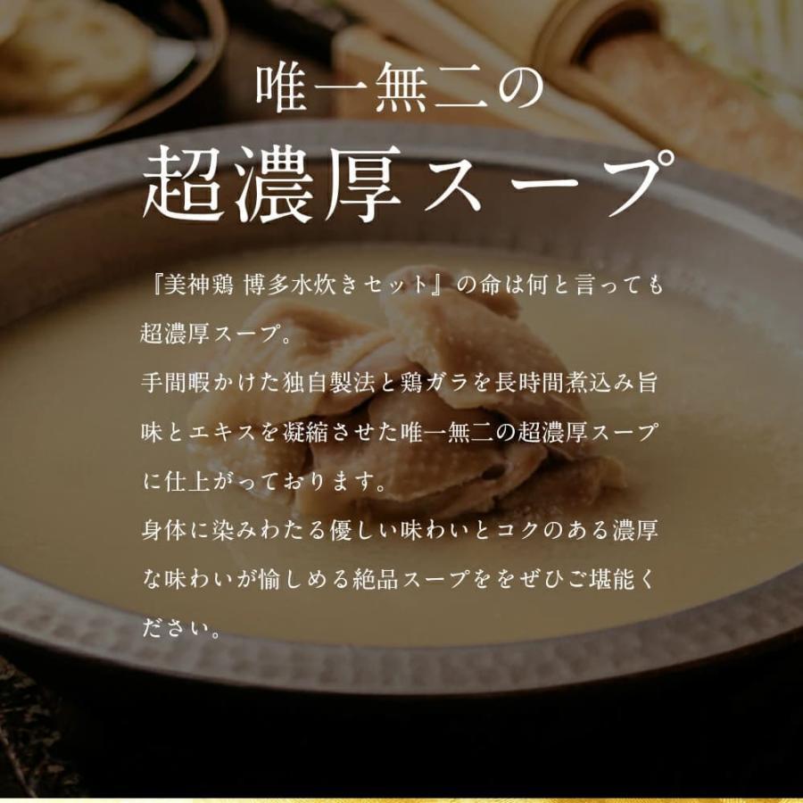 博多美神鶏 水炊きセット(2〜3人前 / 濃縮スープ) お取り寄せグルメ