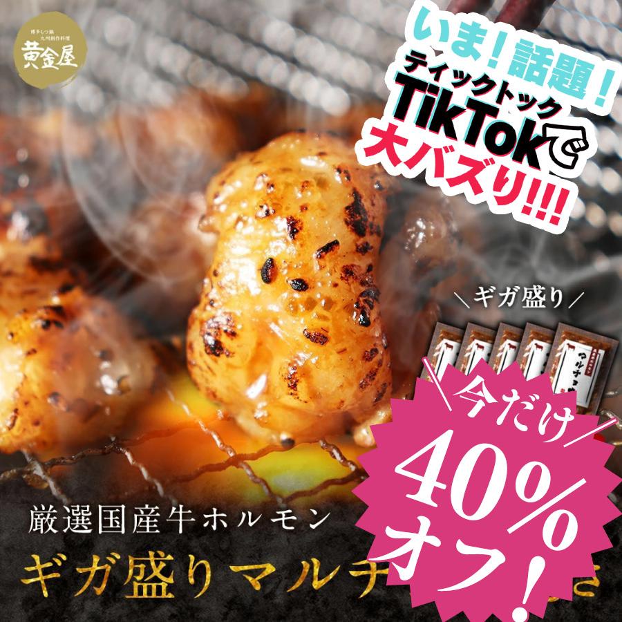 ティックトックで話題！今だけ40％オフ！ 厳選国産牛 ホルモン ギガ