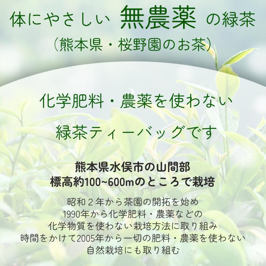 写真入り プレゼント お茶ギフト うちの子グッズ  無農薬 ティーバッグ  6袋(12p) |  | 05