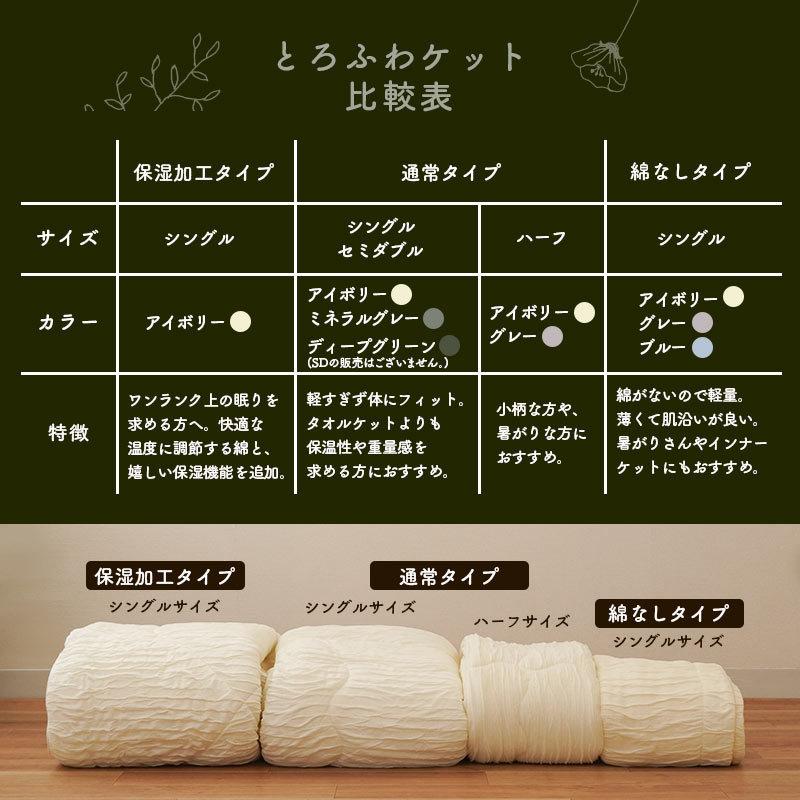 ハーフケット 肌掛け布団 100×140cm とろふわマイクロファイバーわた