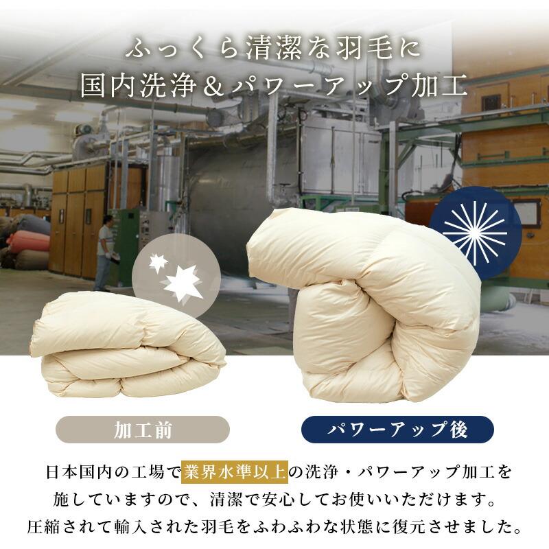 ロマンス小杉 羽毛布団 ダブル グースダウン95％ 増量1.8kg 2層キルト