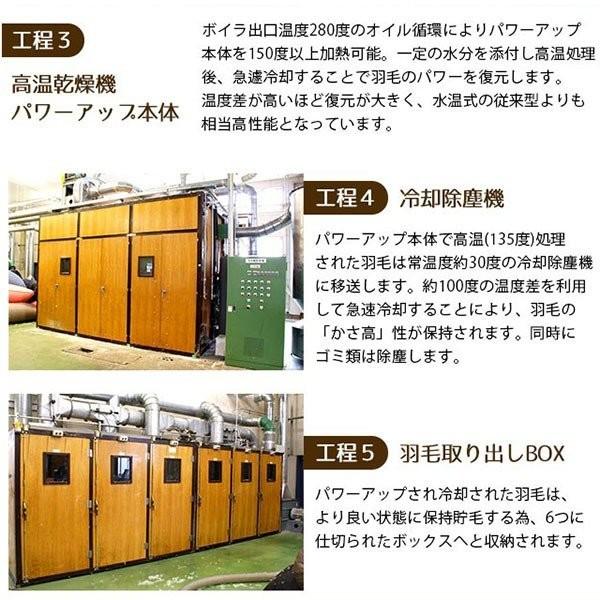 羽毛布団 クイーン 日本製 ダウン85%オールシーズン2枚合わせ羽毛