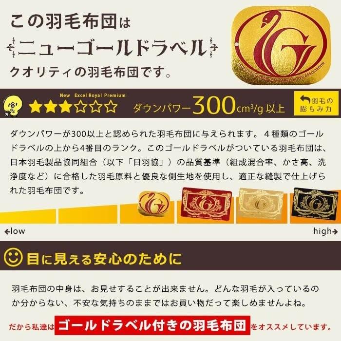 合掛け 羽毛布団 クイーン ニューゴールドラベル 日本製 春 秋 用 布団・毛布
