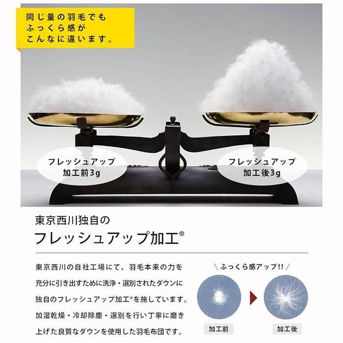 羽毛布団 ダブル 東京西川 マザーグース93 1 7kg 日本製 完全立体キルト 羽毛掛け布団 Kazahana かざはな 3da Ka こだわり安眠館 ヤフー店 通販 Yahoo ショッピング