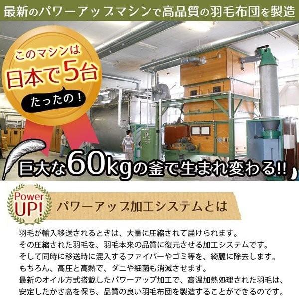 羽毛布団 クイーン 日本製 ダウン93％ オールシーズン2枚合わせ羽毛掛け布団 ロイヤルゴールド 暖かい おすすめ_9