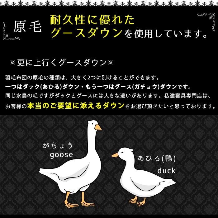 羽毛布団 クイーン グース93% オールシーズン2枚合わせ羽毛掛け布団 日本製 ロイヤルゴールド 暖かい おすすめ｜moufukan｜08