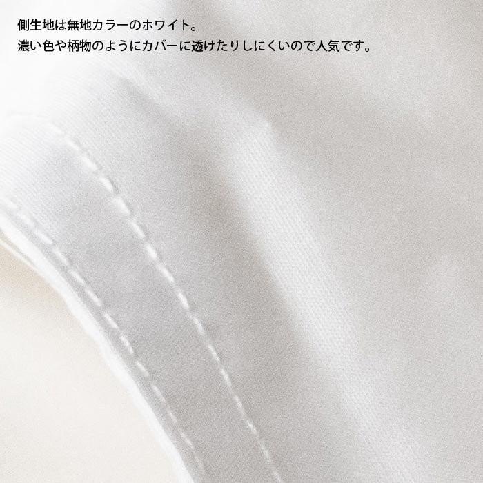 ダウンケット 羽毛肌掛け布団 シングル 2枚セット set ポーランド産グース95％ 日本製 プレミアムゴールドラベル