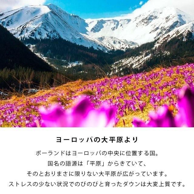 ダウンケット 羽毛肌掛け布団 シングル 2枚セット set ポーランド産グース95％ 日本製 プレミアムゴールドラベル