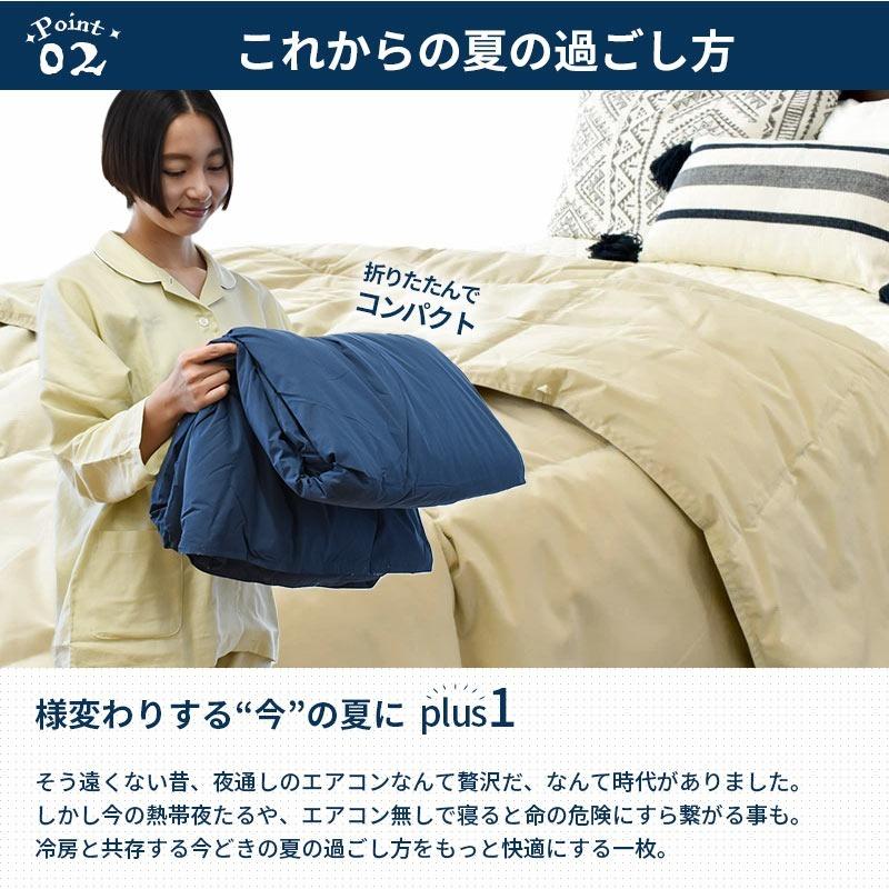 西川（nishikawa） ダウンケット 羽毛肌掛け布団 シングル 2枚セット