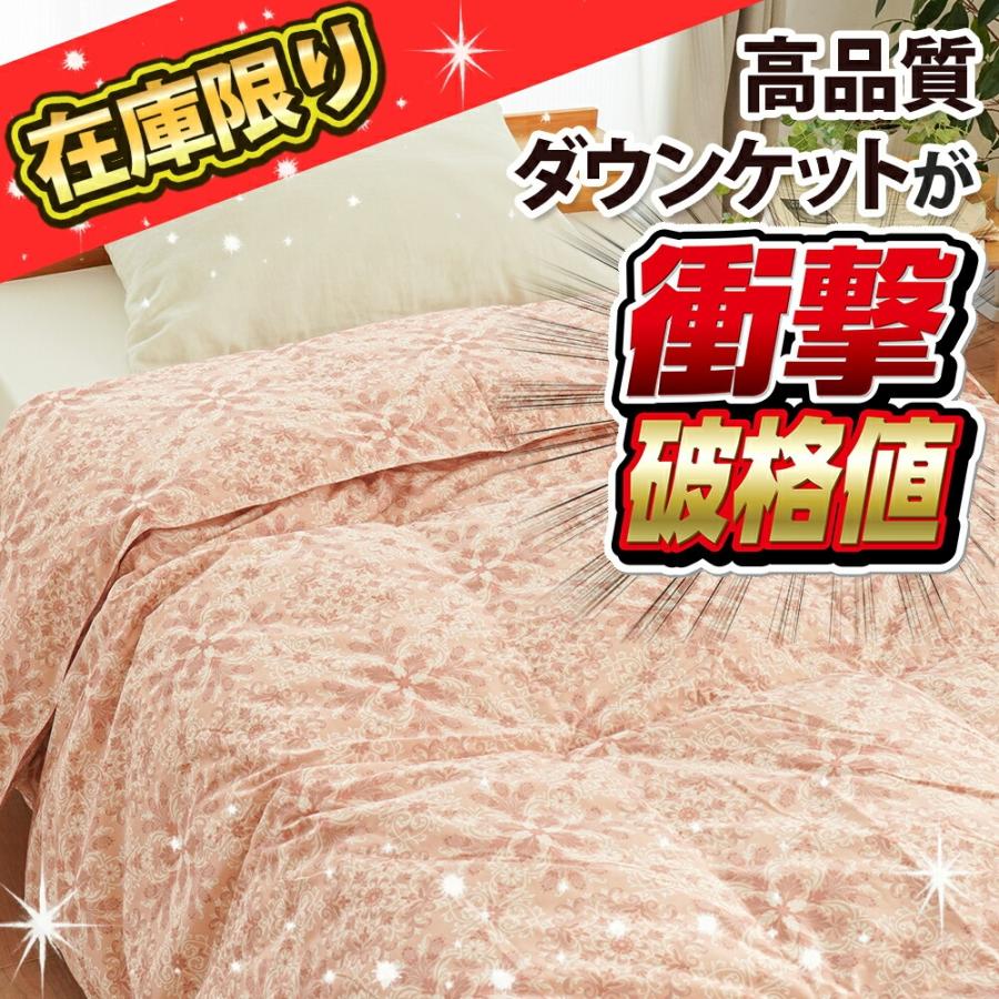 羽毛肌掛け布団 2枚セット シングル シングルロング ダウンケット 日本