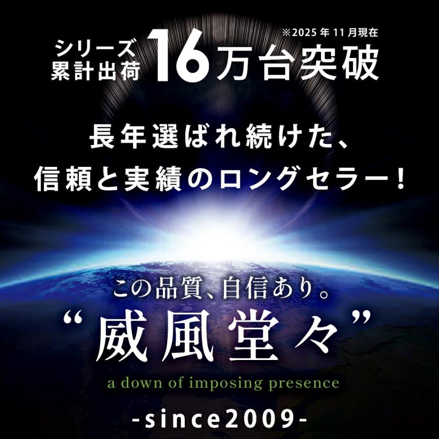 羽毛布団 シングル 冬用 日本製 ポーランド産ダウン93％ 1.0kg