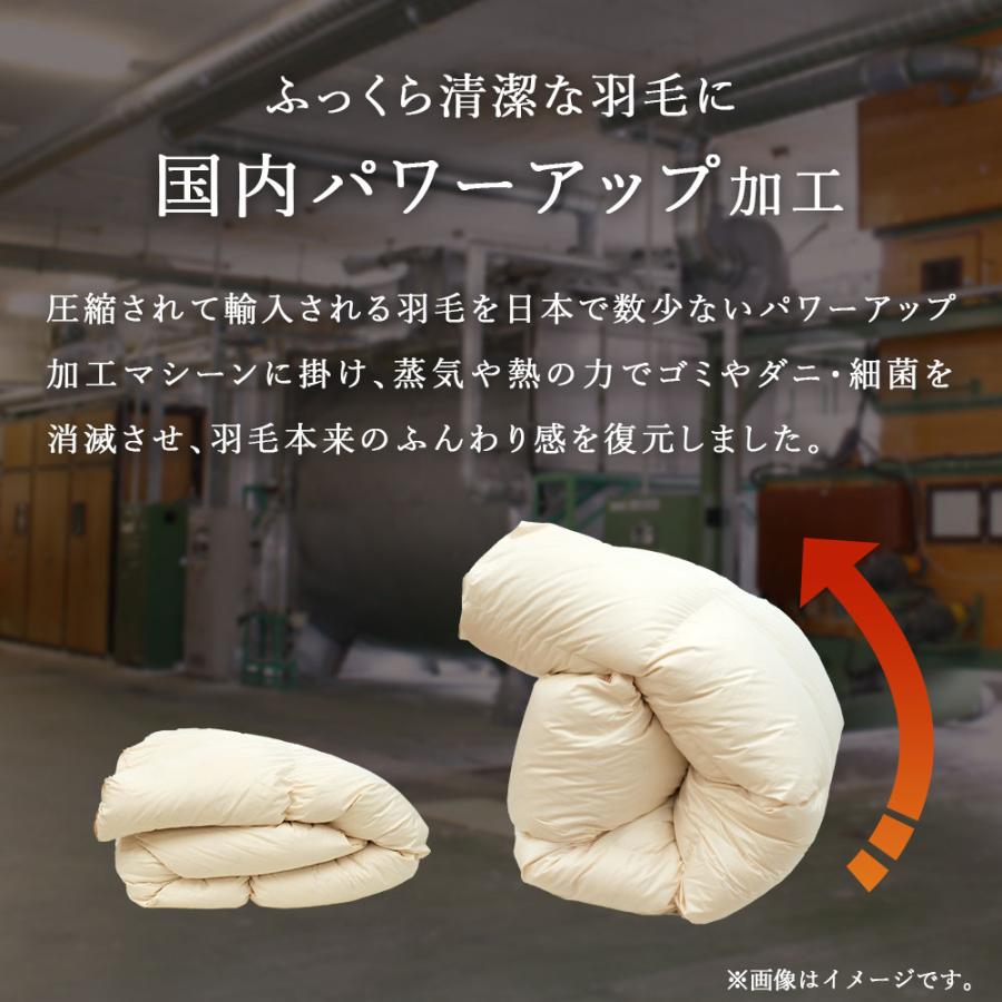 羽毛布団 シングル 冬用 日本製 ポーランド産ダウン93％ 1.0kg