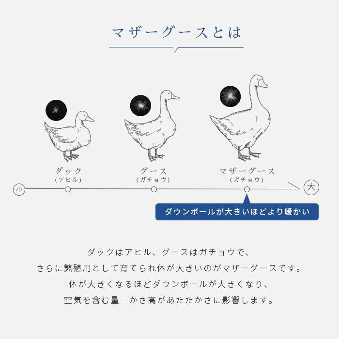 羽毛布団 西川 シングル シベリア産 マザーグースダウン93％ 1.2kg 日本製 完全立体キルト 羽毛ふとん 和晒ガーゼ掛カバー付き｜moufukan｜07