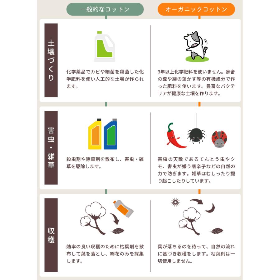 綿毛布 シングル 日本製 オーガニックコットン 綿100％ 掛け毛布 洗える コットンケット インナーブランケット_7