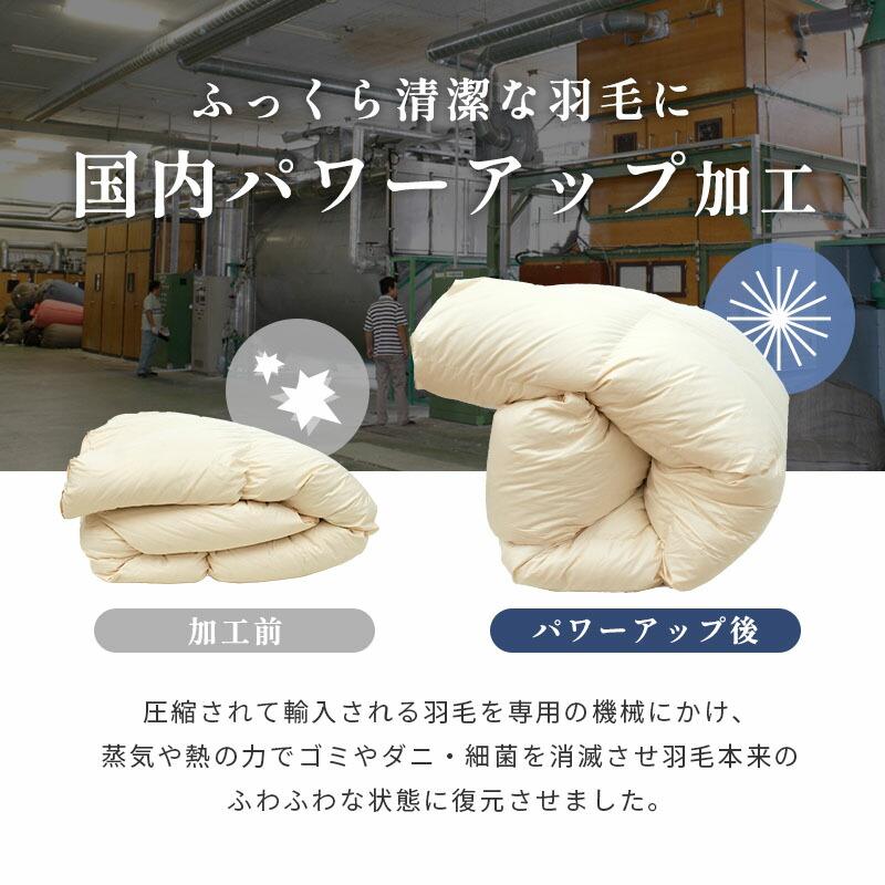 羽毛布団 福袋 シングル 日本製 ダウン50％ 1.2kg 立体キルト 冬用