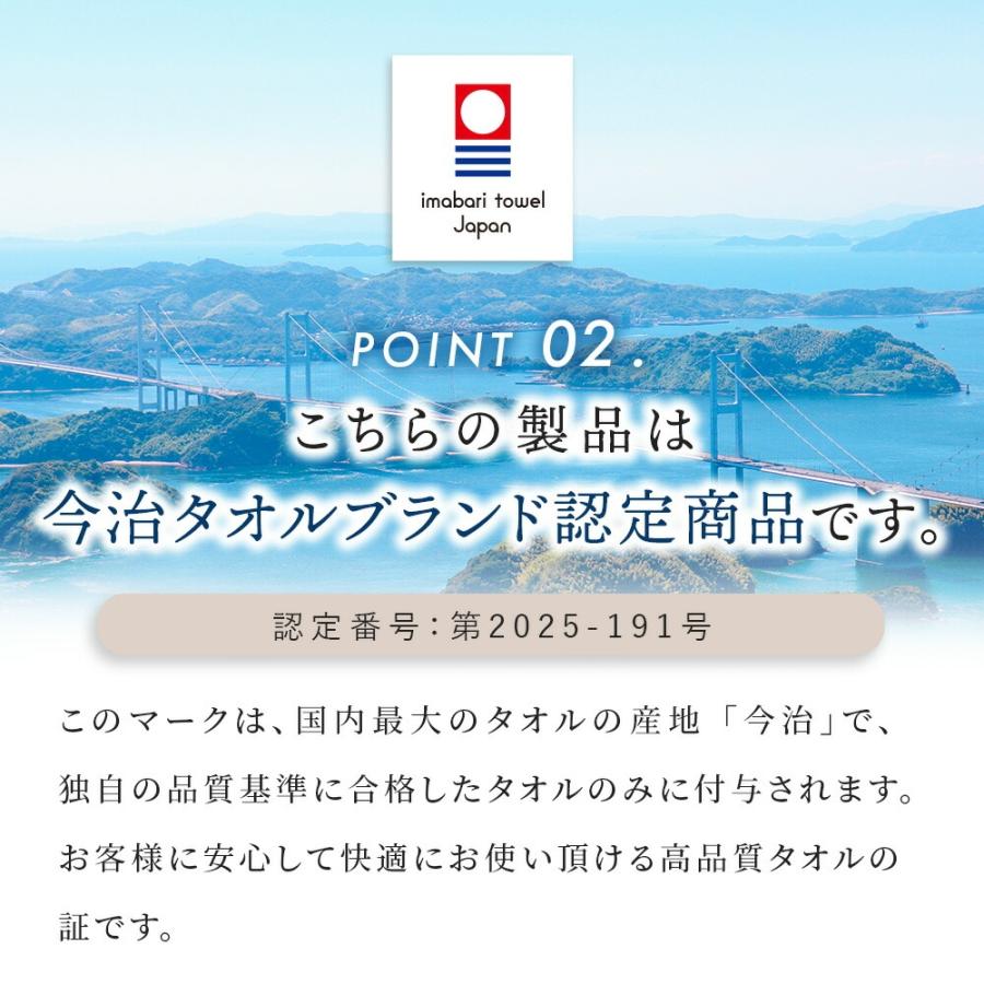 今治タオル（imabari towel） タオルケット 今治 シングル 2枚セット