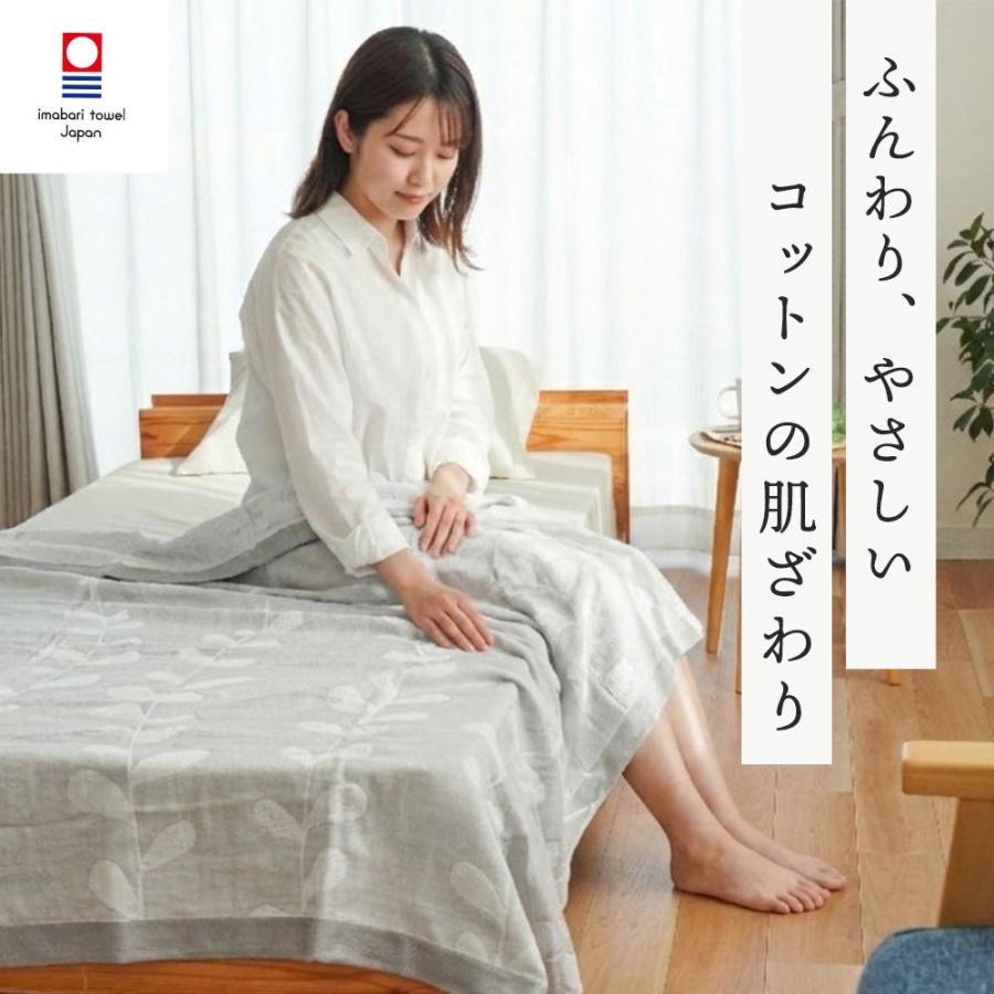 今治タオル（imabari towel） タオルケット 今治 シングル 2枚セット